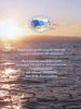       = Problems of fishery management in the works of young scientists :      ,  100-  . . .  (. , 11  2021 .) /    ,       -     ,    λ (λ . . . ).   : , 2022.  146 . : ., .  . . . ., .  .    .  ISBN 978-5-86349-268-1 : 100-00.   : 